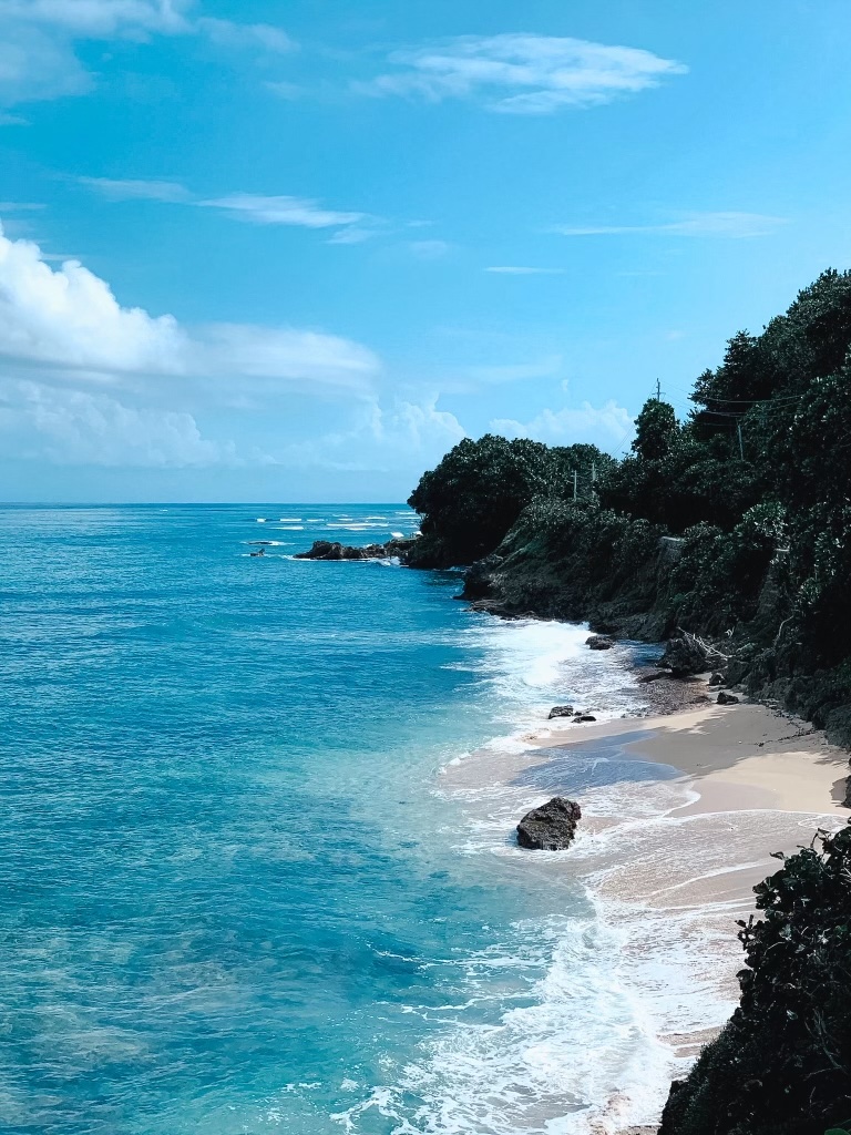 An aerial view of a dark blue sea on the left with white waves crashing against the shore to the right.  Dark green trees and shrubbery are on a hill behind the shore with a road peeping through the green.