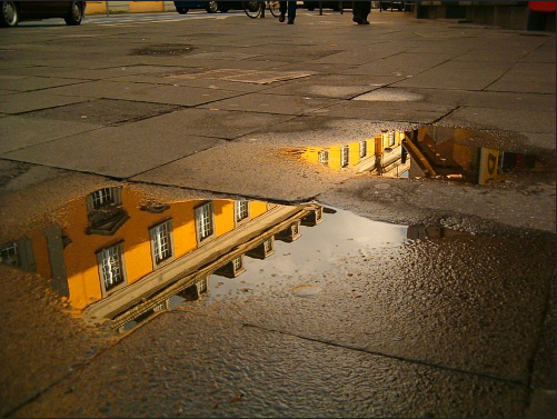 Photo of Bonn University sidewalk with puddles. A reflection of buildings is seen in the water.