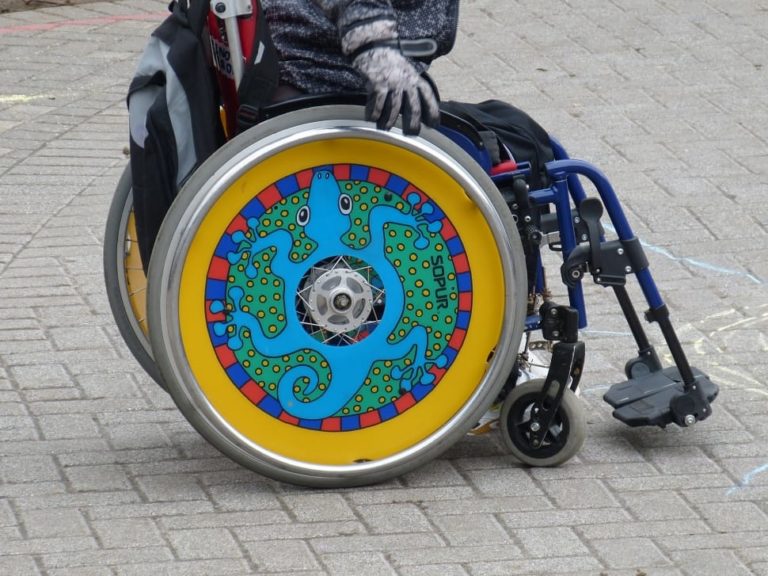 A wheelchair user sits in a chair whose wheels have been painted blue, with a large amphibian decal.