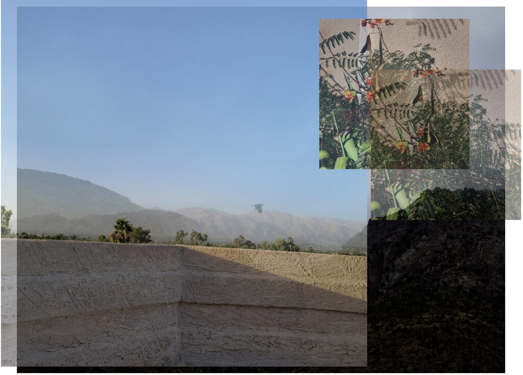 A digital photo collage made by Sav of different places in Tucson in 2021. There are two overlapping photos, one of a large bird flying on Mount Lemmon, and another taken of the mountain range from the rooftop at Sav’s therapists’ office. On top of these photos to the right are two repeating pictures of a yellow and black butterfly on a red bird of paradise flower taken outside of Sav’s therapist’s office