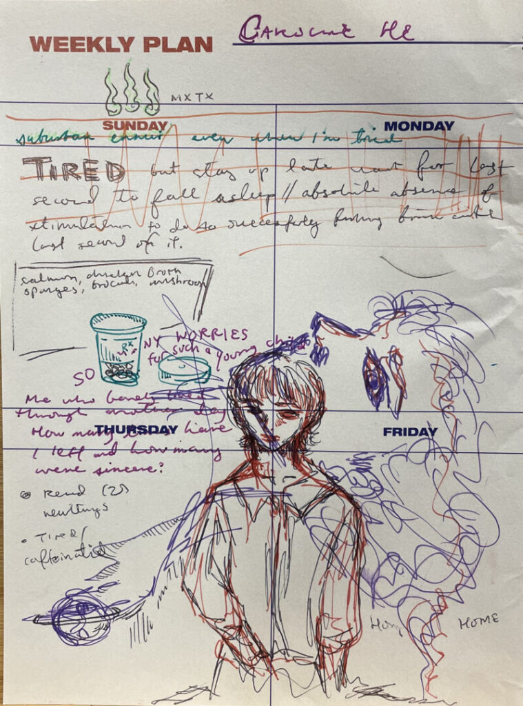 The images are pages from a daily planner/journal that is organized by undated week-by-week columns and rows. In between regular planner entries of tasks or lists, the owner has scribbled colorful doodles and nonsensical text in ink all over the journal outside the margins of the boxes. It signals a break in mundane detailing of daily routines.