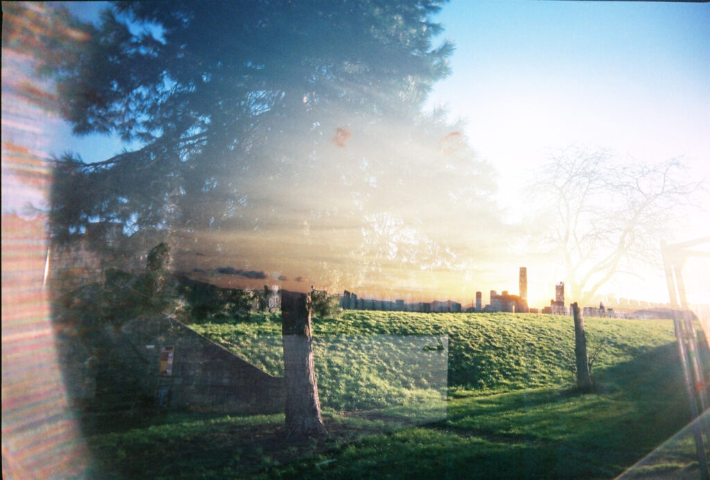 This image is a blend of two superimposed photos. In the centre of the image is a large tree on a grassy bank in the sunshine. In the background, on top of the grassy bank, there is a silhouette of a cityscape of tall buildings. The sun is behind the buildings with a sunset gradient. On the right, there is a faint tree and the edge of a construction metal pipe structure. On the left edge, there is lens glare, which blurs the edge of the photograph.