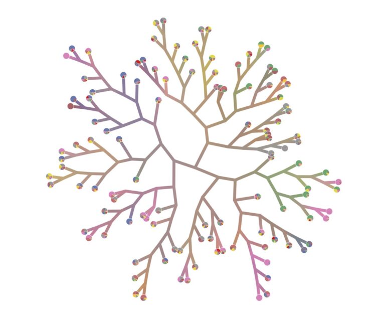 The image is a multi-coloured tree graph, absent of any meaningful information, leaving the image a beautiful but ultimately meaningless graphic representation.