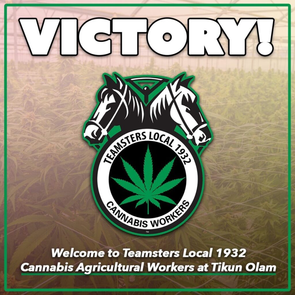 Logo for Teamsters Local 1932, Cannabis Division, which adds a cannabis leaf to the Teamsters logo of a wagon wheel topped with twin horse heads.