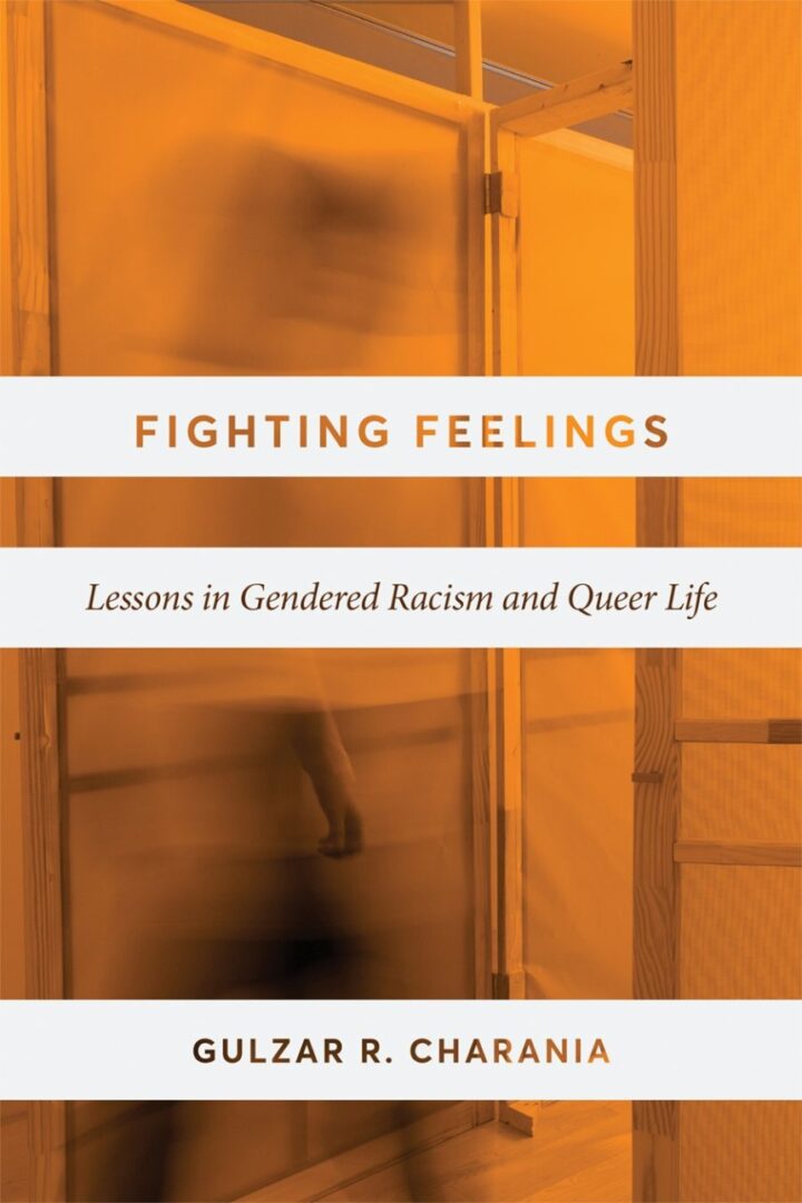 Book cover. Orange toned photgraph of a shadowy figure walking past a translucent door.