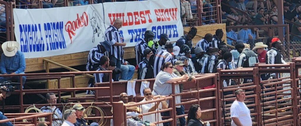 Incarcerated rodeo competitors wearing black-and-white striped shirts stand behind metal rodeo chutes, preparing for an event.
