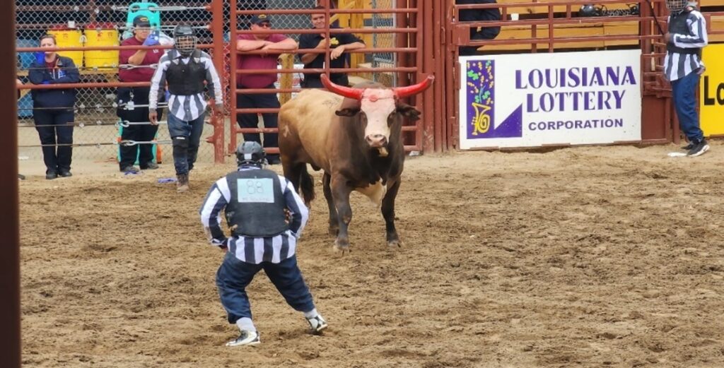 An incarcerated man in a striped uniform stands in the dirt arena facing a bull with a poker chip attached between its horns for the "Guts and Glory" event.